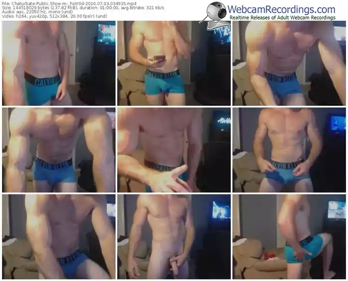 chaturbate-_hotr0d-webcam-show-07_03_2016-03_49_35