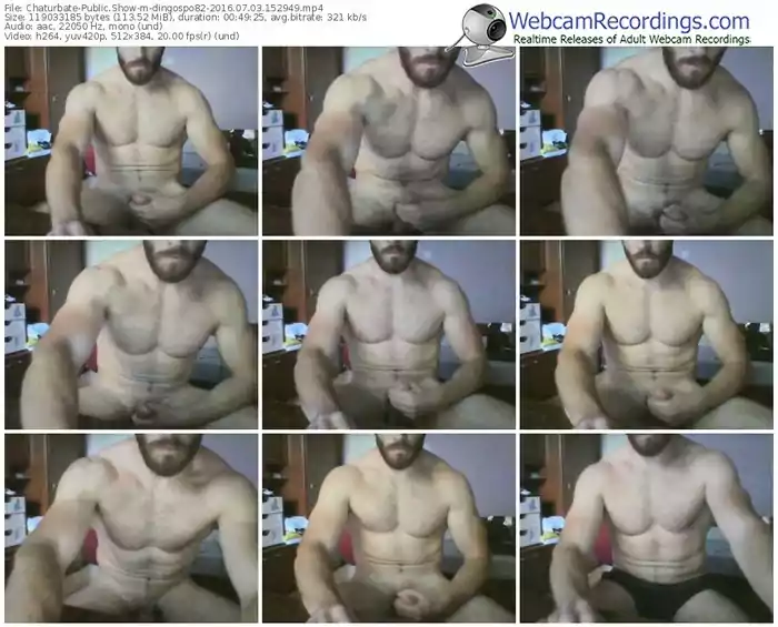 chaturbate-dingospo82-webcam-show-07_03_2016-15_29_49