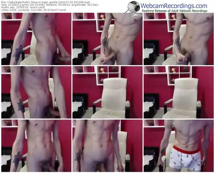 chaturbate-tiger_gentle-webcam-show-07_03_2016-23_19_58