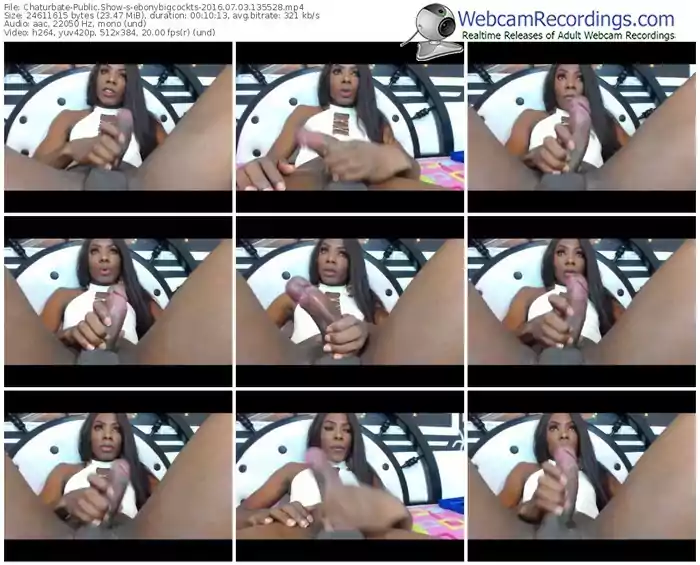 chaturbate-ebonybigcockts-webcam-show-07_03_2016-13_55_28