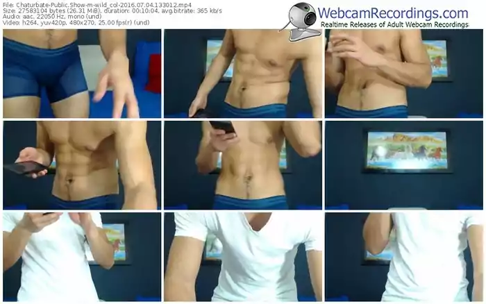 chaturbate-wild_col-webcam-show-07_04_2016-13_30_12