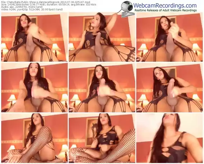 chaturbate-dannacatbigcock-webcam-show-07_06_2016-02_51_47