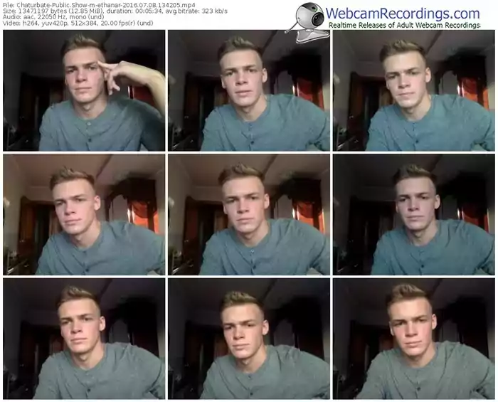 chaturbate-ethanar-webcam-show-07_08_2016-13_42_05