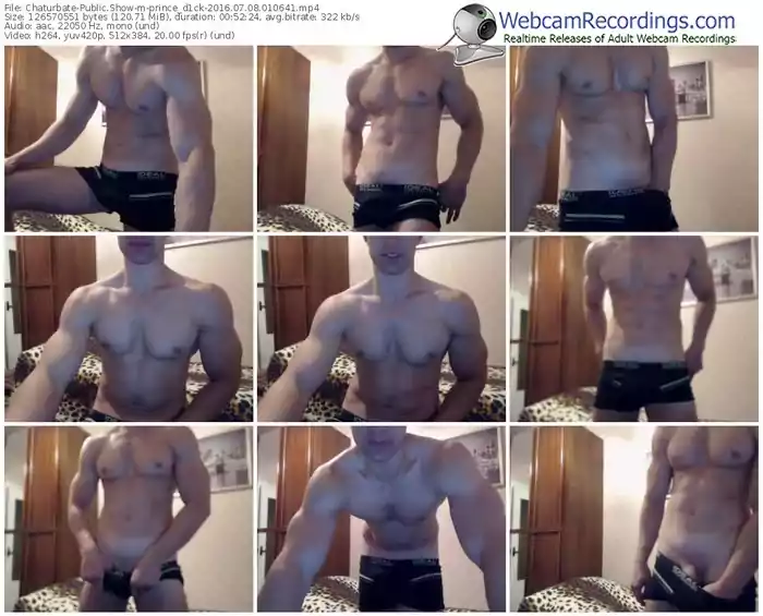 chaturbate-prince_d1ck-webcam-show-07_08_2016-01_06_41