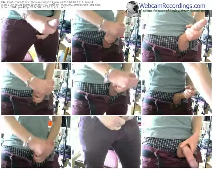 chaturbate-beautiful_penis-webcam-show-07_09_2016-11_17_16