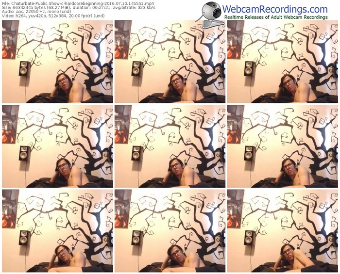 chaturbate-hardcorebeginning-webcam-show-07_10_2016-14_55_51