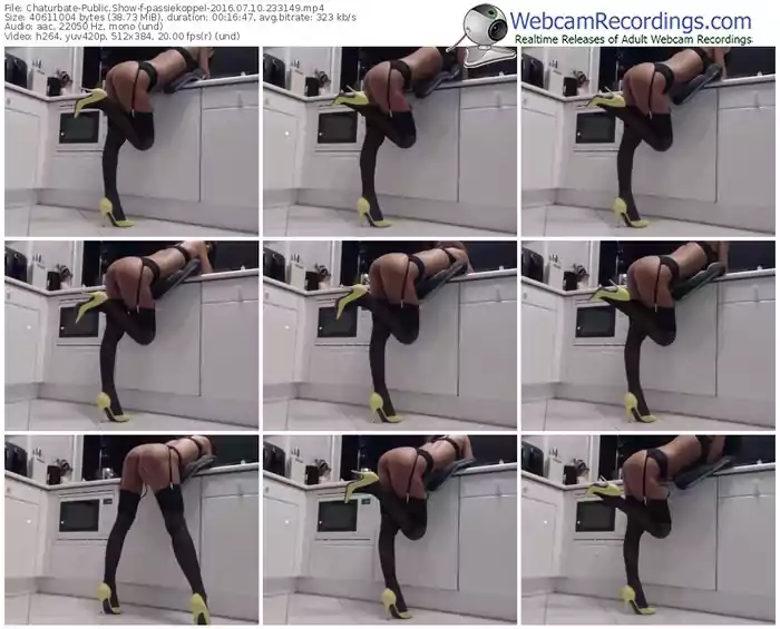chaturbate-passiekoppel-webcam-show-07_10_2016-23_31_49