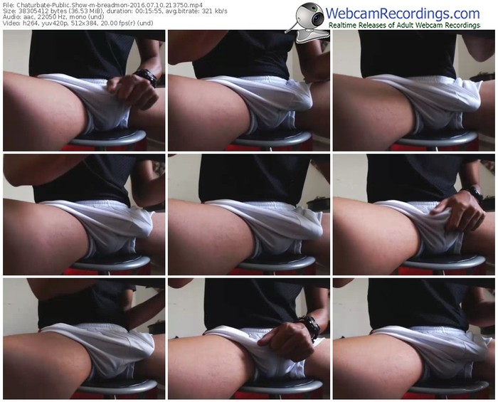 chaturbate-breadmon-webcam-show-07_10_2016-21_37_50