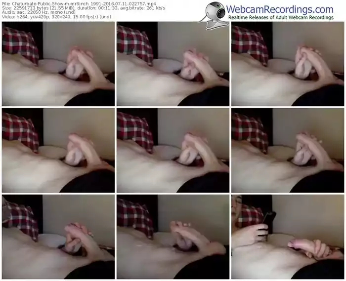 chaturbate-mr9inch_1991-webcam-show-07_11_2016-02_27_57