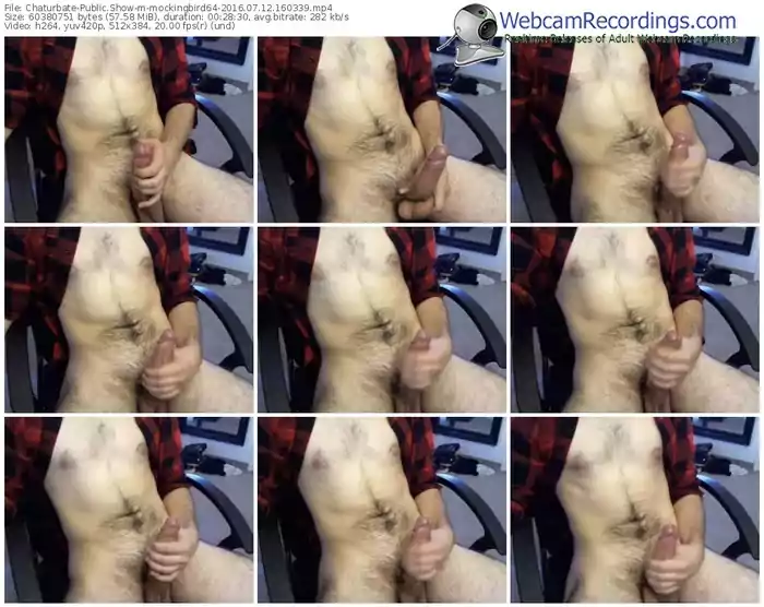 chaturbate-mockingbird64-webcam-show-07_12_2016-16_03_39