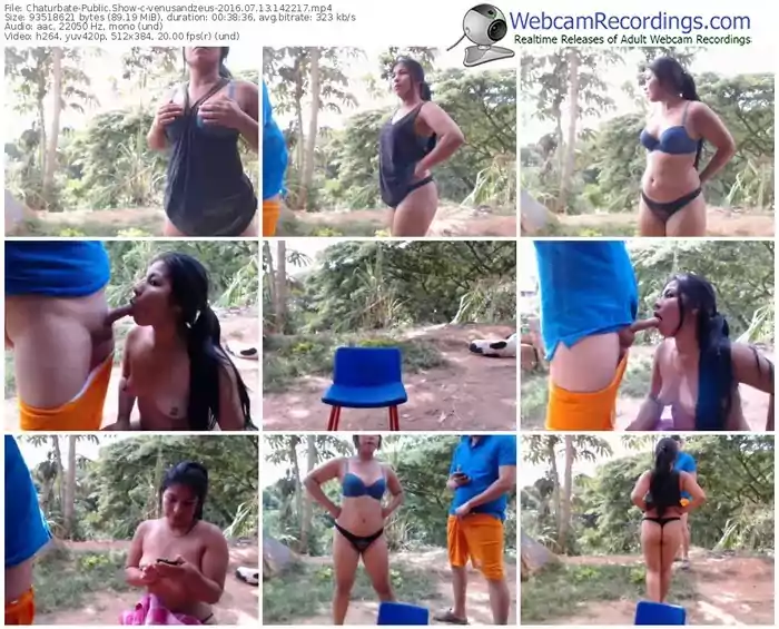 chaturbate-venusandzeus-webcam-show-07_13_2016-14_22_17