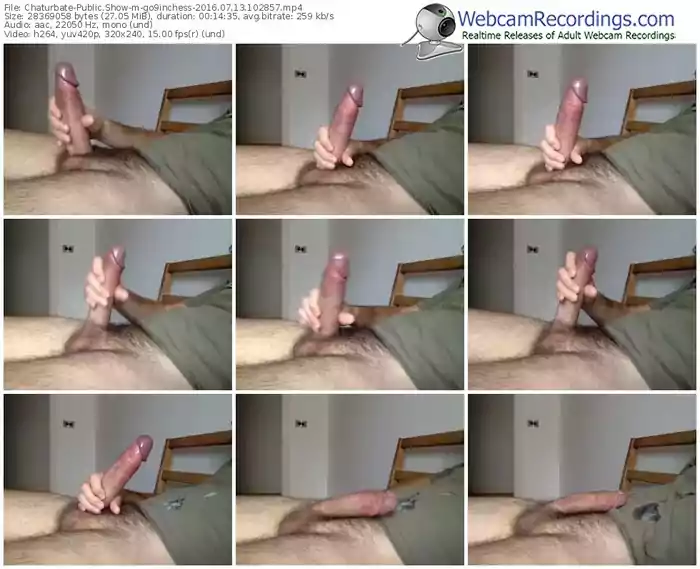 chaturbate-go9inchess-webcam-show-07_13_2016-10_28_57