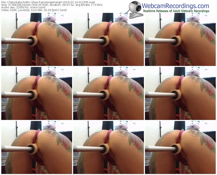 chaturbate-animergamergirl-webcam-show-07_14_2016-01_23_05