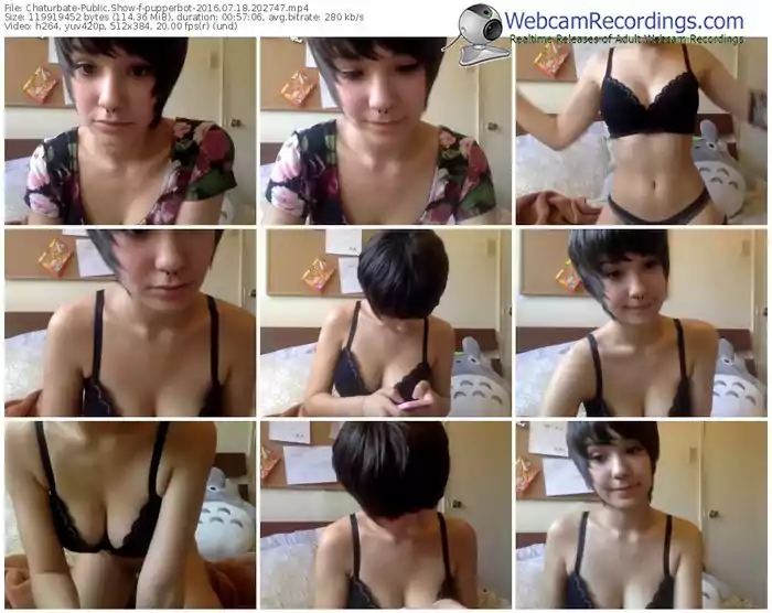 chaturbate-pupperbot-webcam-show-07_18_2016-20_27_47