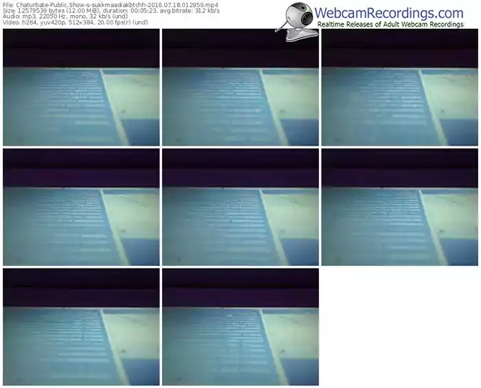 chaturbate-sukkmaadiakbtchh-webcam-show-07_18_2016-01_29_59