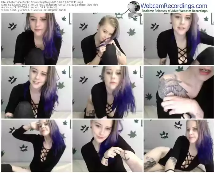 chaturbate-budfairy-webcam-show-07_19_2016-00_52_41