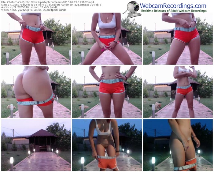 chaturbate-perfectcouplesex-webcam-show-07_22_2016-17_31_02