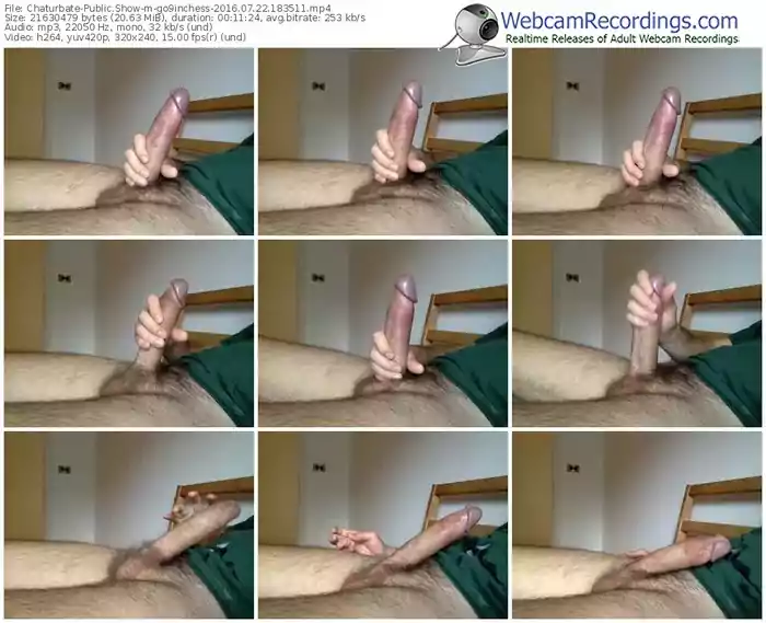 chaturbate-go9inchess-webcam-show-07_22_2016-18_35_11