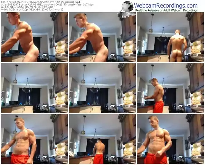 chaturbate-finch93-webcam-show-07_25_2016-20_26_28