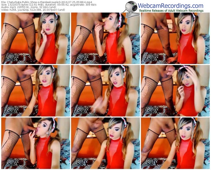 chaturbate-theidealcouple3-webcam-show-07_25_2016-05_38_14