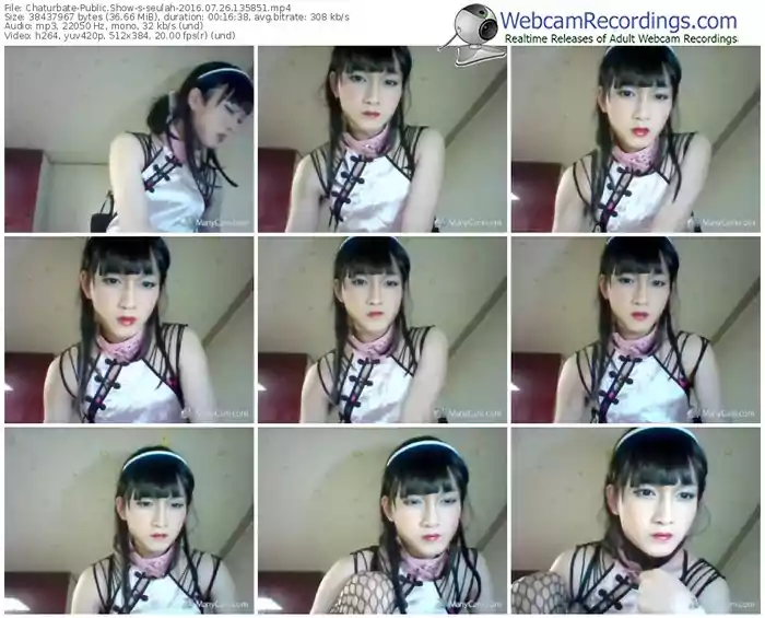 chaturbate-seulah-webcam-show-07_26_2016-13_58_51