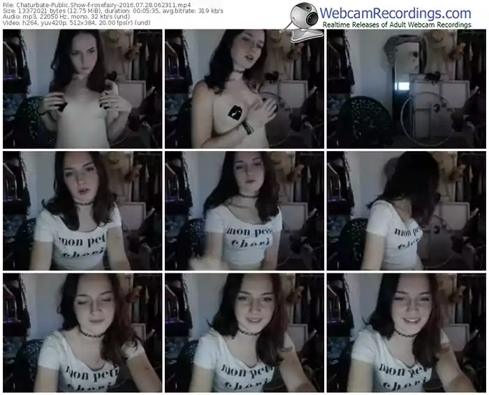 chaturbate-rosefairy-webcam-show-07_28_2016-06_23_11