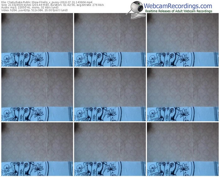 chaturbate-hello_x_pussy-webcam-show-07_31_2016-14_39_04