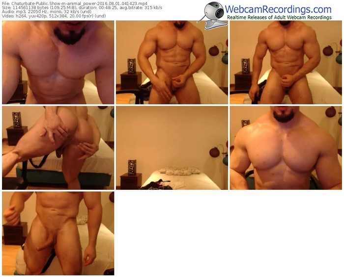 chaturbate-animal_power-webcam-show-08_01_2016-04_14_23