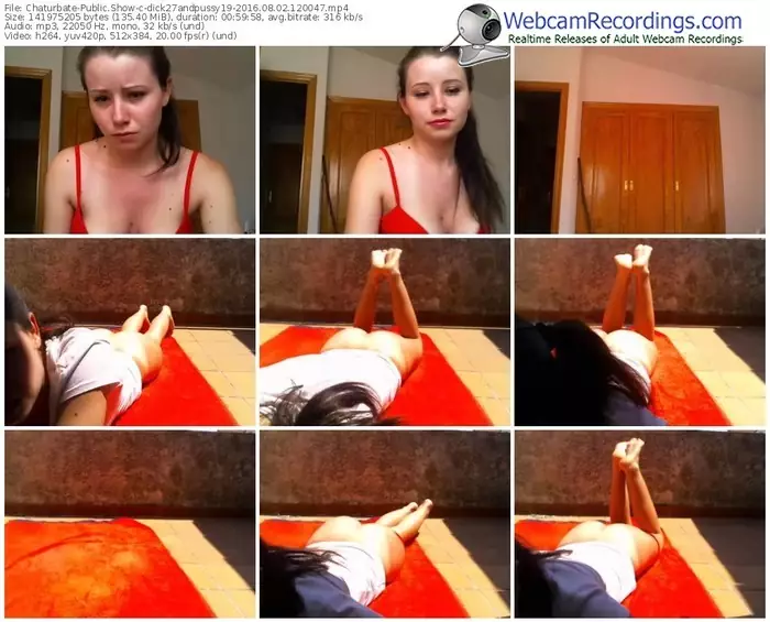 chaturbate-dick27andpussy19-webcam-show-08_02_2016-12_00_47