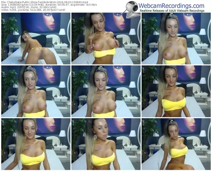 chaturbate-wildvibration-webcam-show-08_03_2016-15_09_40