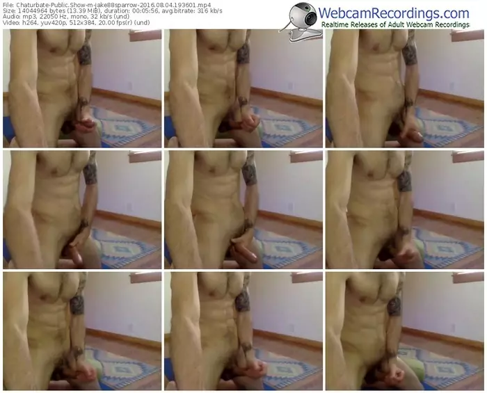 chaturbate-jake88sparrow-webcam-show-08_04_2016-19_36_01