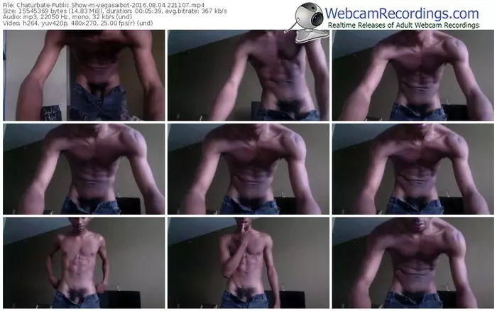 chaturbate-vegasaibot-webcam-show-08_04_2016-22_11_07