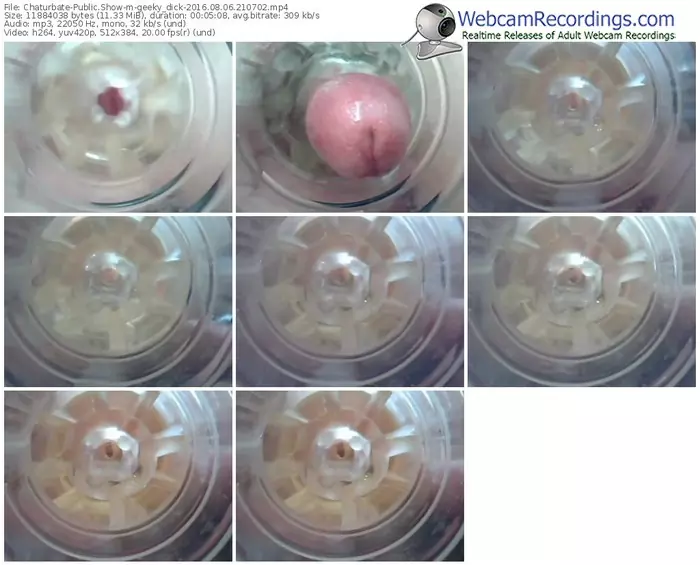 chaturbate-geeky_dick-webcam-show-08_06_2016-21_07_02