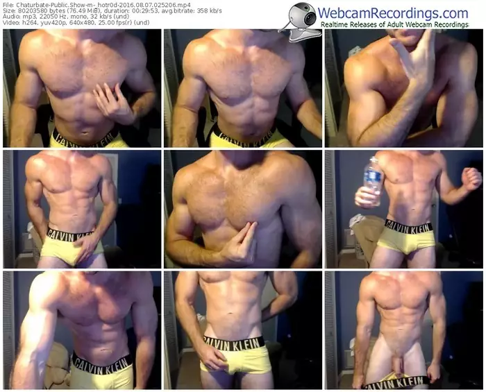 chaturbate-_hotr0d-webcam-show-08_07_2016-02_52_06