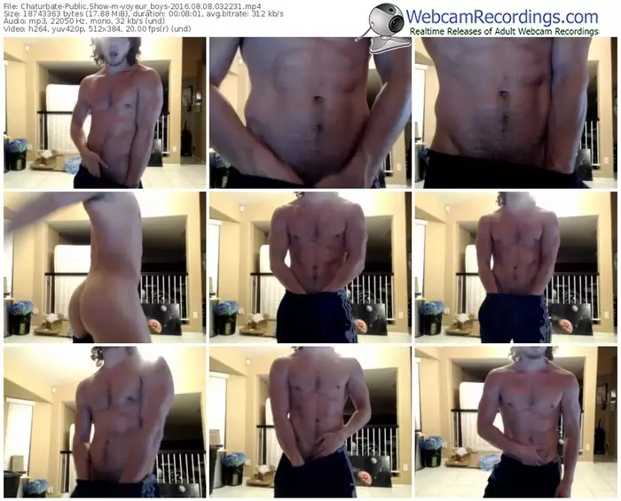chaturbate-voyeur_boys-webcam-show-08_08_2016-03_22_31