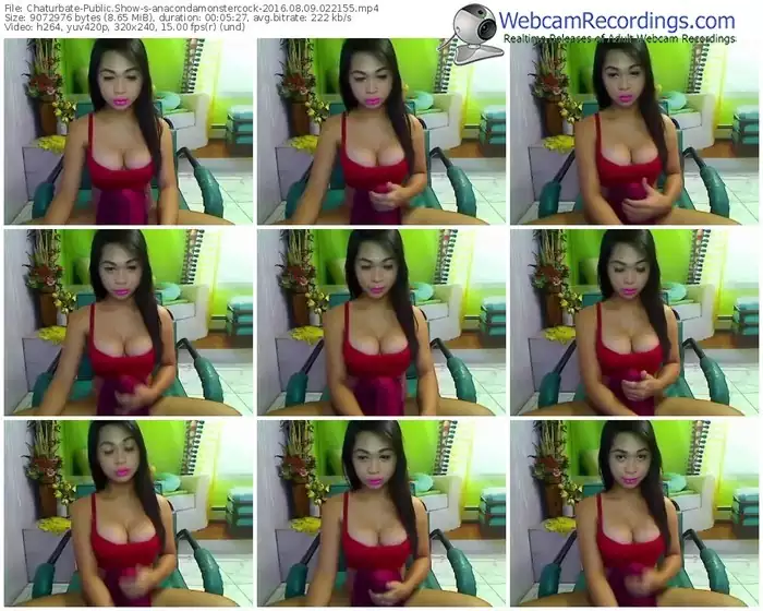 chaturbate-anacondamonstercock-webcam-show-08_09_2016-02_21_55