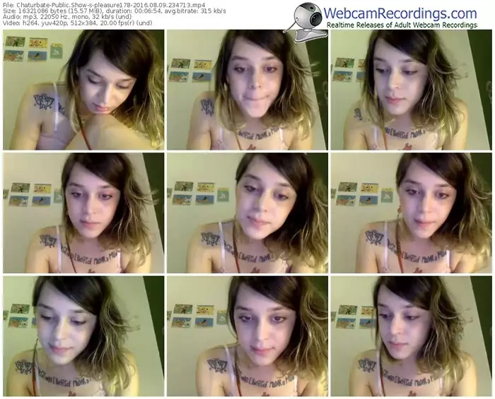 chaturbate-pleasure178-webcam-show-08_09_2016-23_47_13