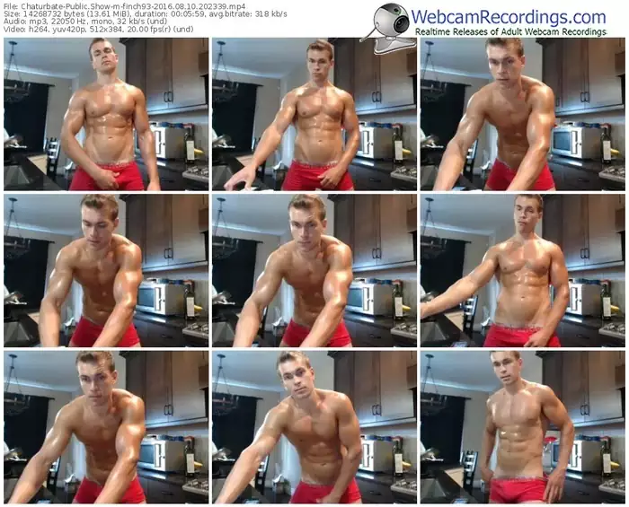 chaturbate-finch93-webcam-show-08_10_2016-20_23_39