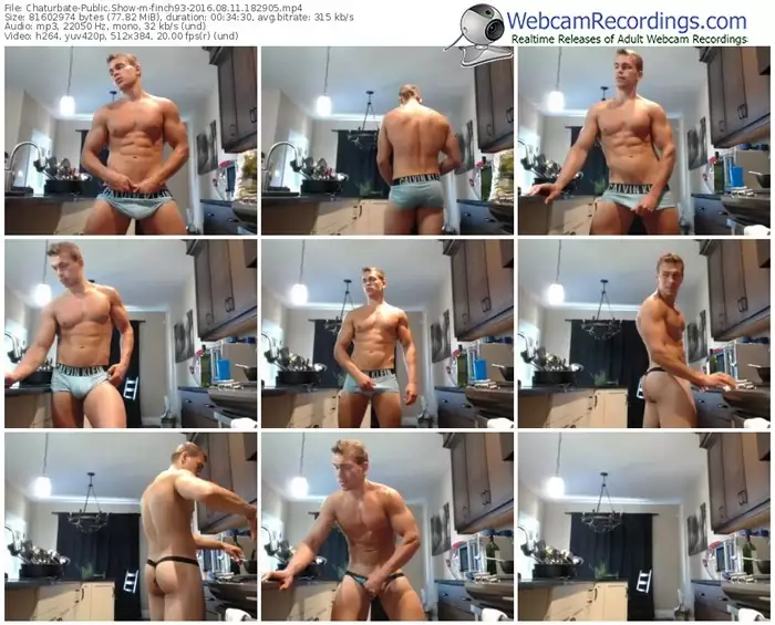 chaturbate-finch93-webcam-show-08_11_2016-18_29_05