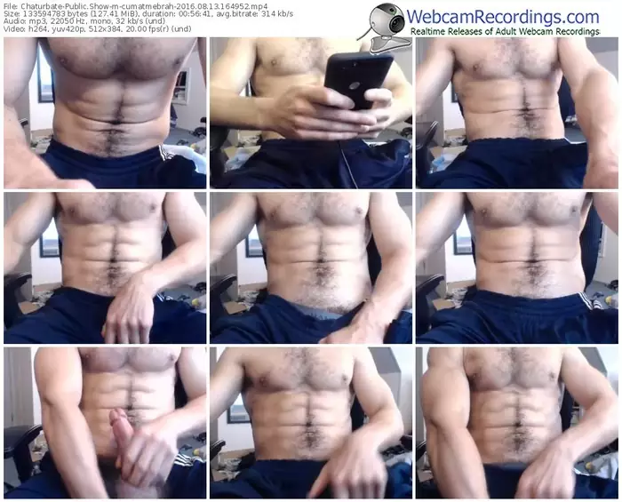 chaturbate-cumatmebrah-webcam-show-08_13_2016-16_49_52