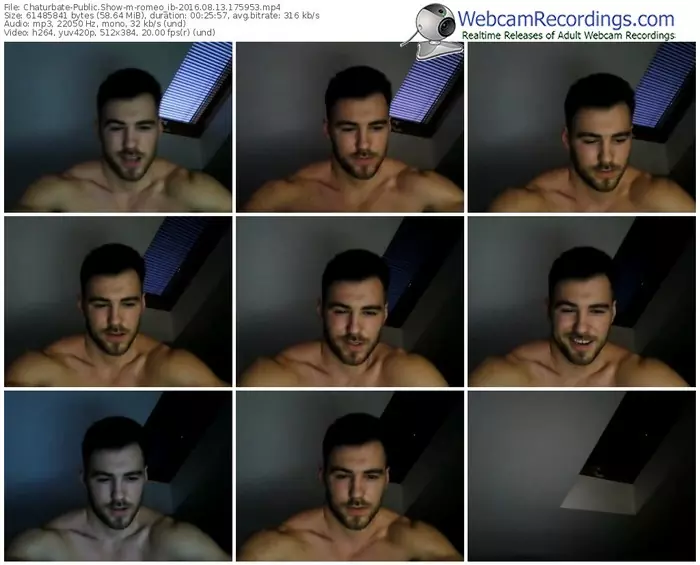 chaturbate-romeo_ib-webcam-show-08_13_2016-17_59_53