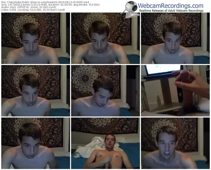 chaturbate-umphreak42-webcam-show-08_13_2016-01_49_35