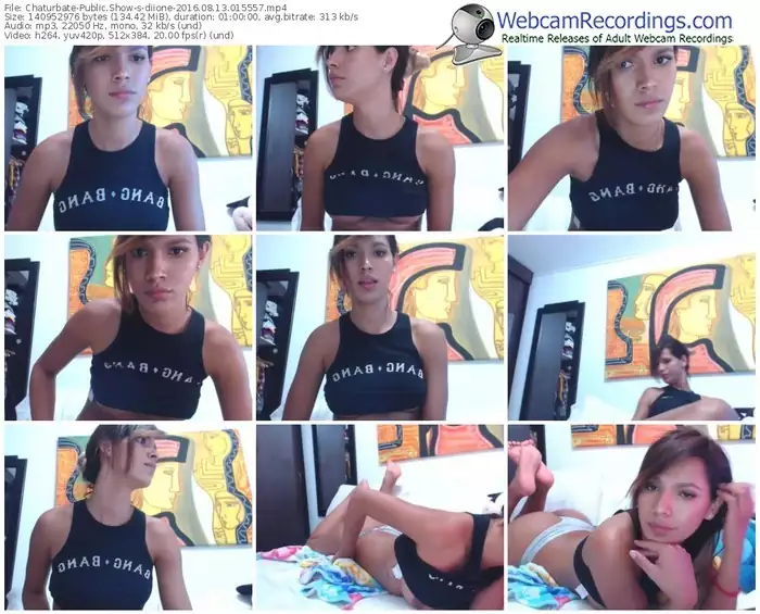 chaturbate-diione-webcam-show-08_13_2016-01_55_57