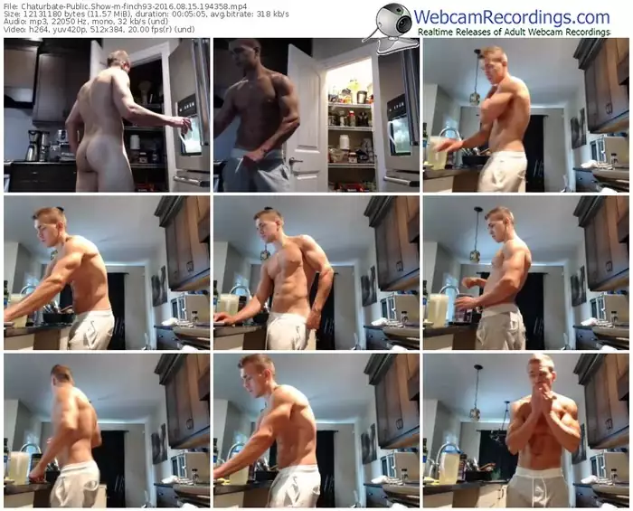 chaturbate-finch93-webcam-show-08_15_2016-19_43_58