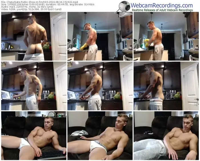 chaturbate-finch93-webcam-show-08_16_2016-15_24_22