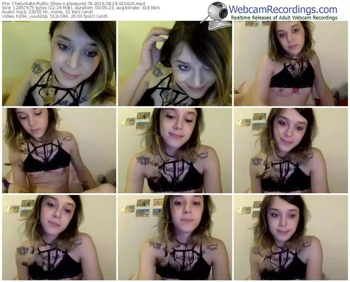 chaturbate-pleasure178-webcam-show-08_18_2016-01_56_26