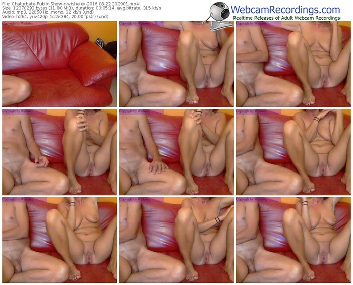 chaturbate-wishalex-webcam-show-08_22_2016-20_29_01