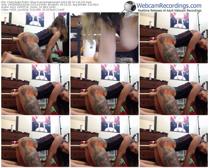 chaturbate-animergamergirl-webcam-show-08_22_2016-13_12_22