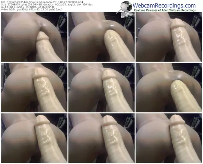 chaturbate-extrmeanal-webcam-show-08_22_2016-00_08_00