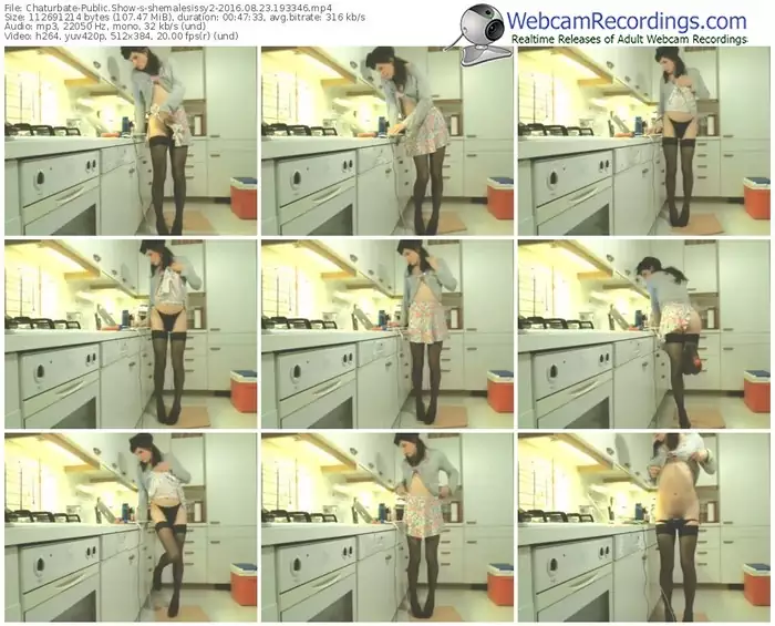 chaturbate-shemalesissy2-webcam-show-08_23_2016-19_33_46